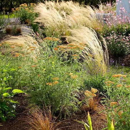 Hotel Retiro Costina Wellness&villas Santa Comba